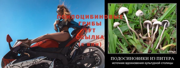 прущая мука Аркадак